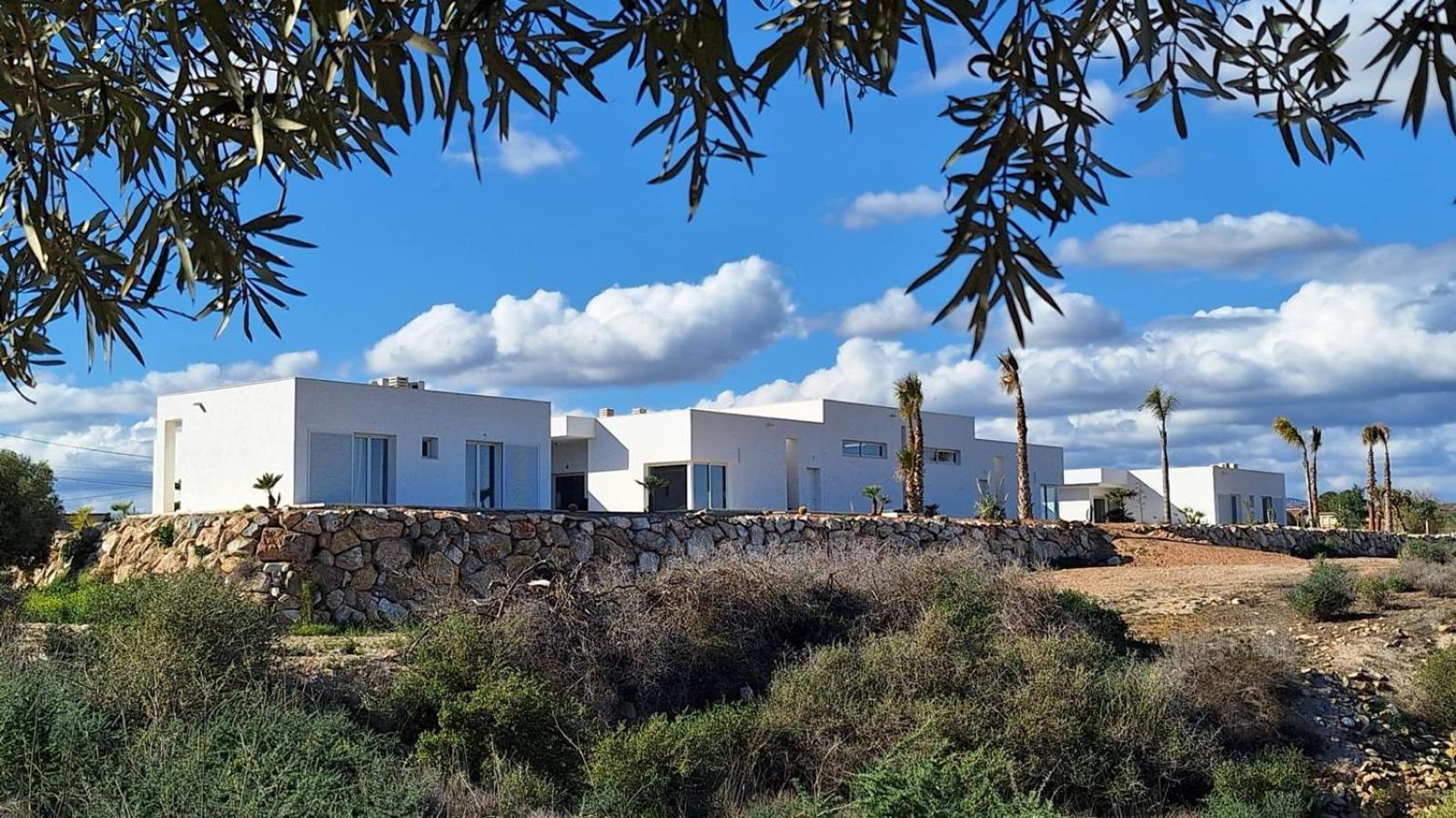 El Olivo *